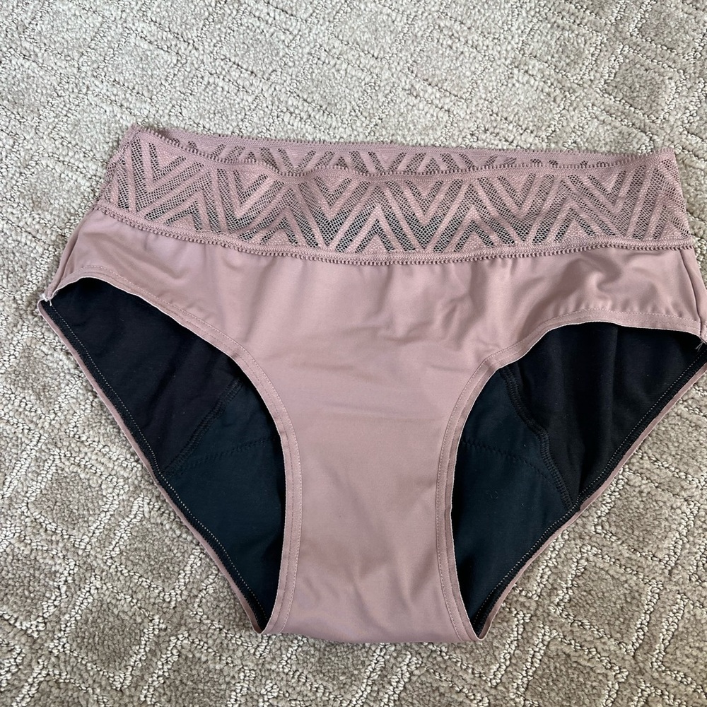 NWOT Thinx Underwear Classic Hiphugger